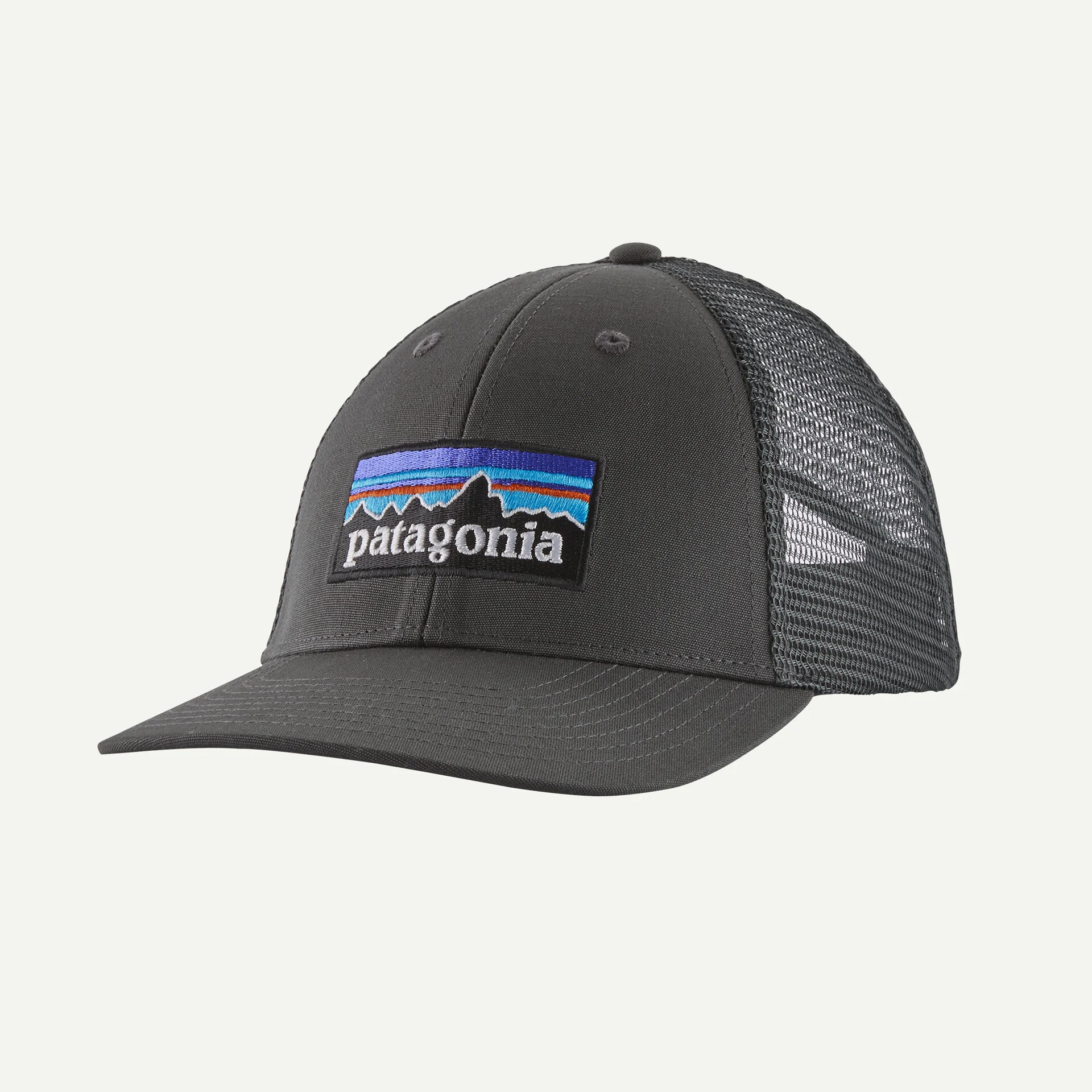 Patagonia Patagonia P-6 Logo LoPro Trucker Hat