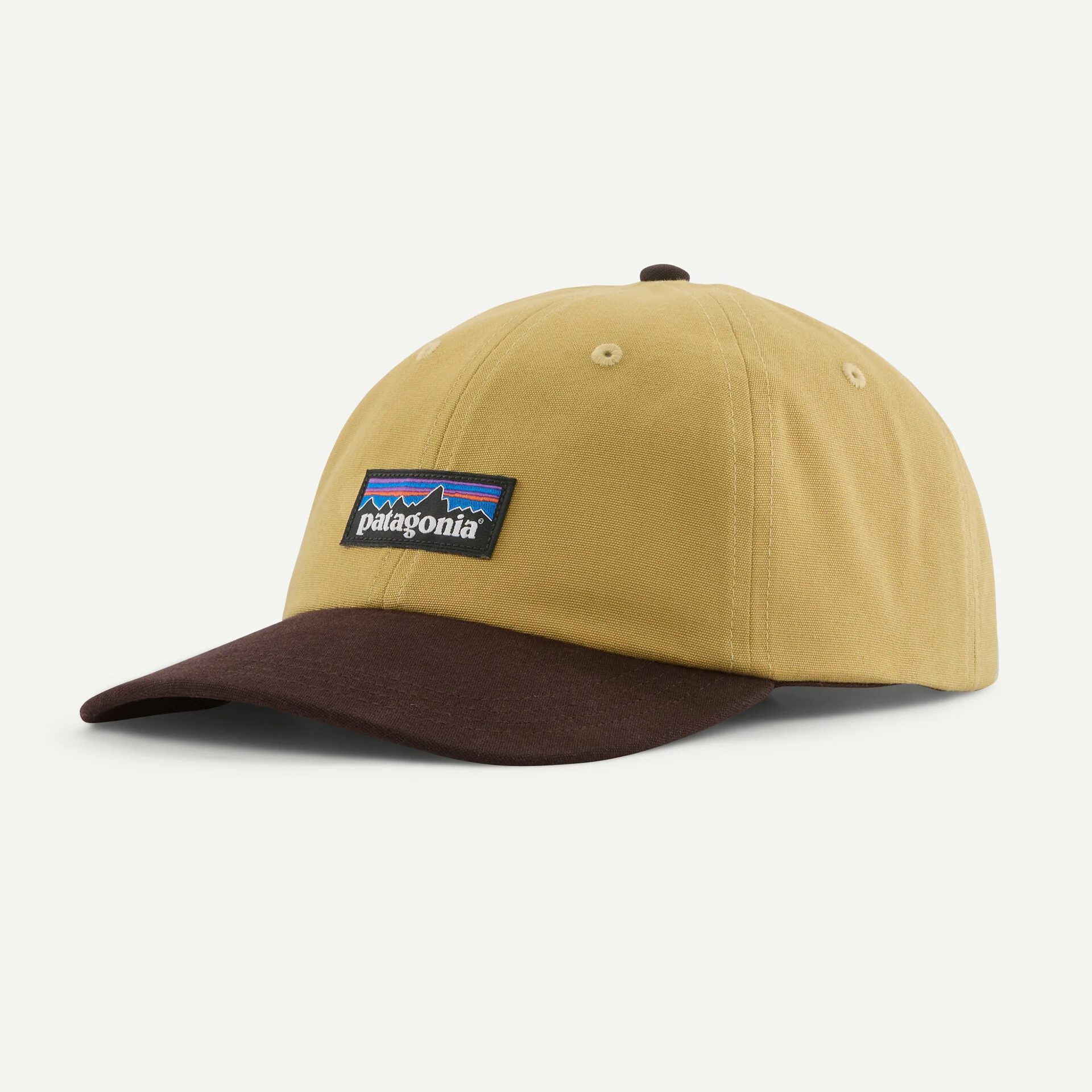 Patagonia Patagonia P-6 Label Trad Cap