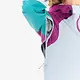 Picture Picture Women's Abstral+ 2.5L Jacket