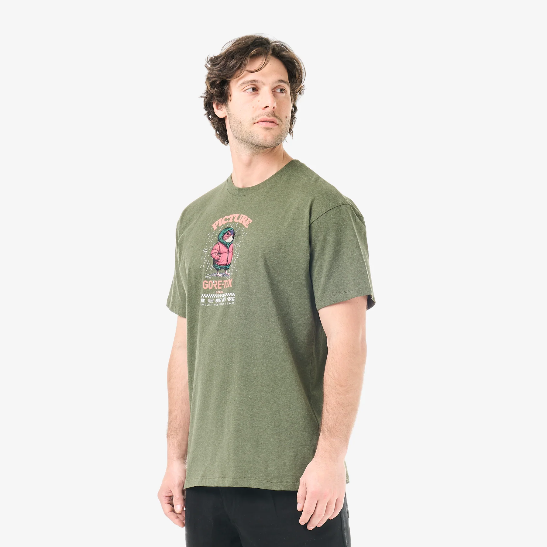 Picture Picture x GTX Tee