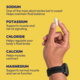 SaltStick SaltStick Electrolyte Capsules SaltStick SaltStick Electrolyte Capsules
