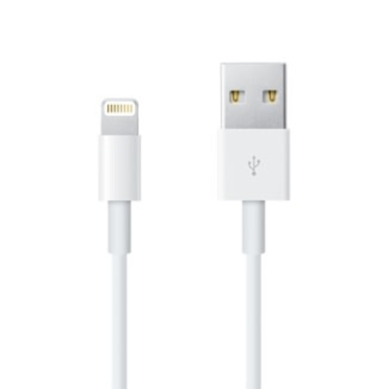 Lightning to USB Cable 0.5 m (1.5 ft) - Campus Computer Store