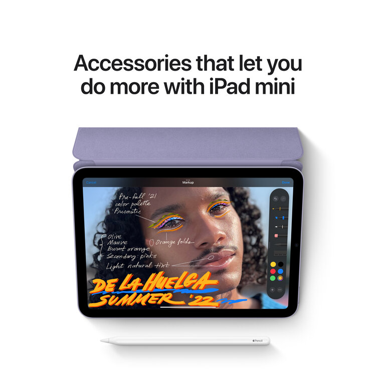 Apple iPad mini 6th-gen (previous model) WiFi 256GB