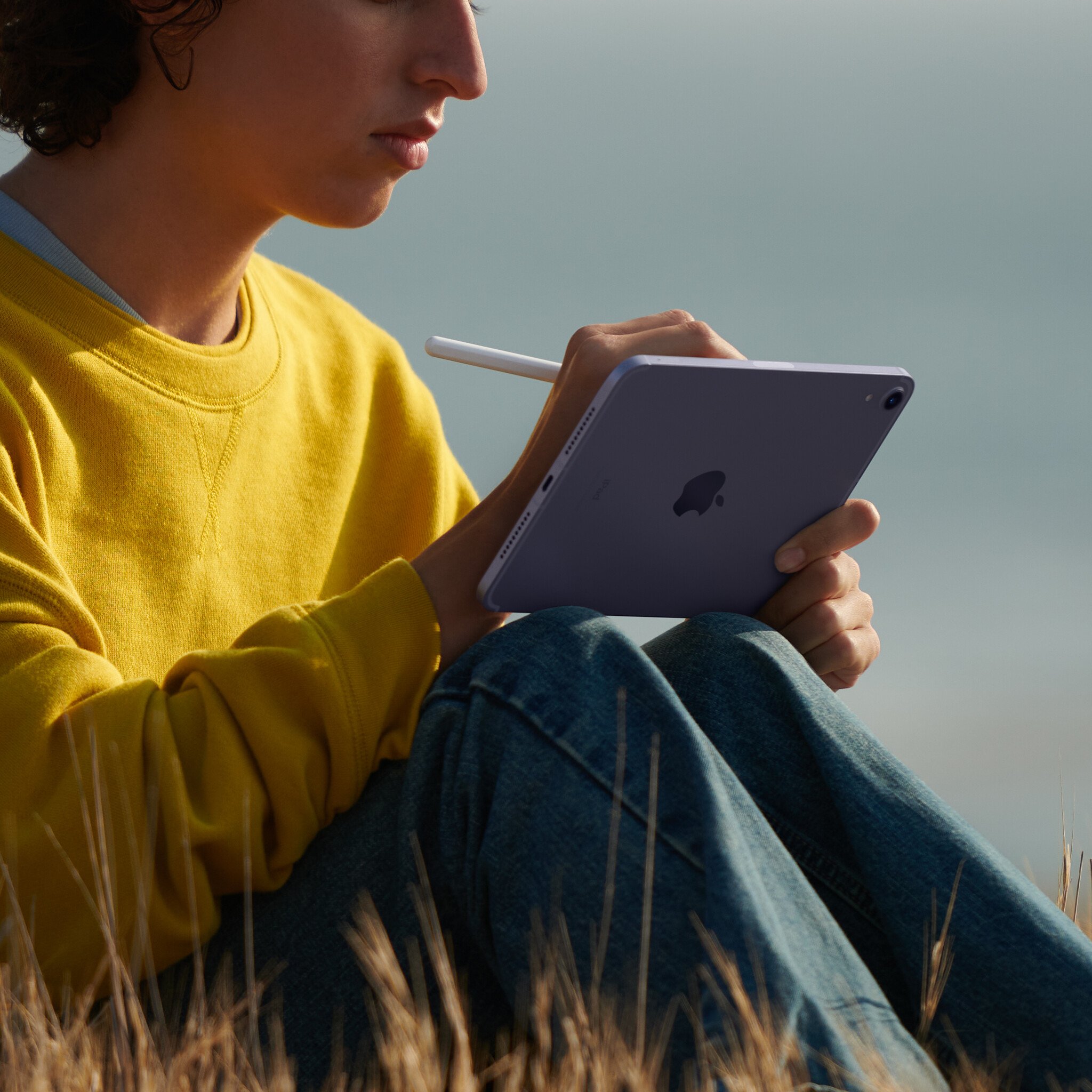 iPad mini (6th Generation) WiFi and Cellular 256GB - Campus 