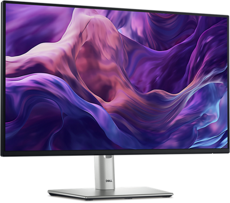 Dell 24-inch Pro Plus Monitor (P2425H)