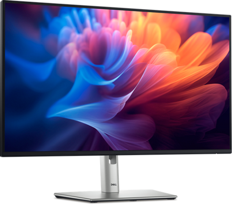 Dell 27-inch Professional Series Monitor (P2725H)