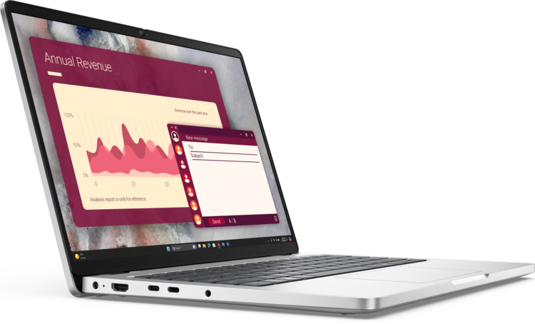 Dell 14-inch Basic Laptop - Dell Pro 14 (PC14250)