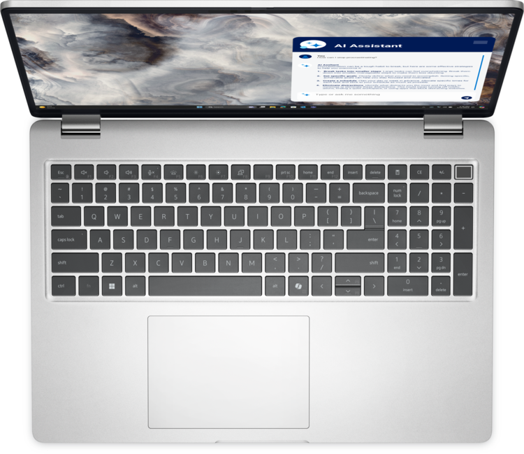 Dell 16-inch Standard Laptop - Dell Pro 16 Plus (PB16250)