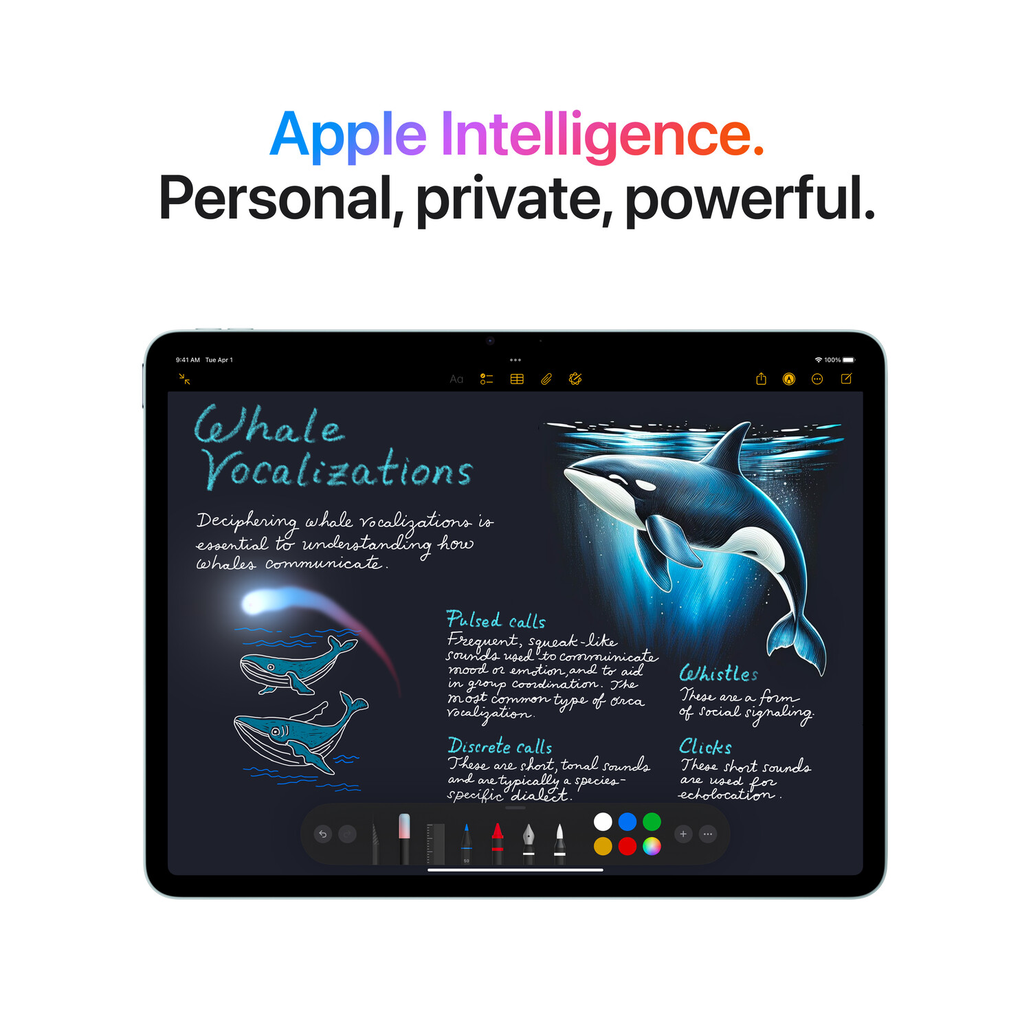 iPad本体 iPad air m3 256GB iPad Air (M3) 11-inch Wi-Fi 256GB - Campus Computer Store