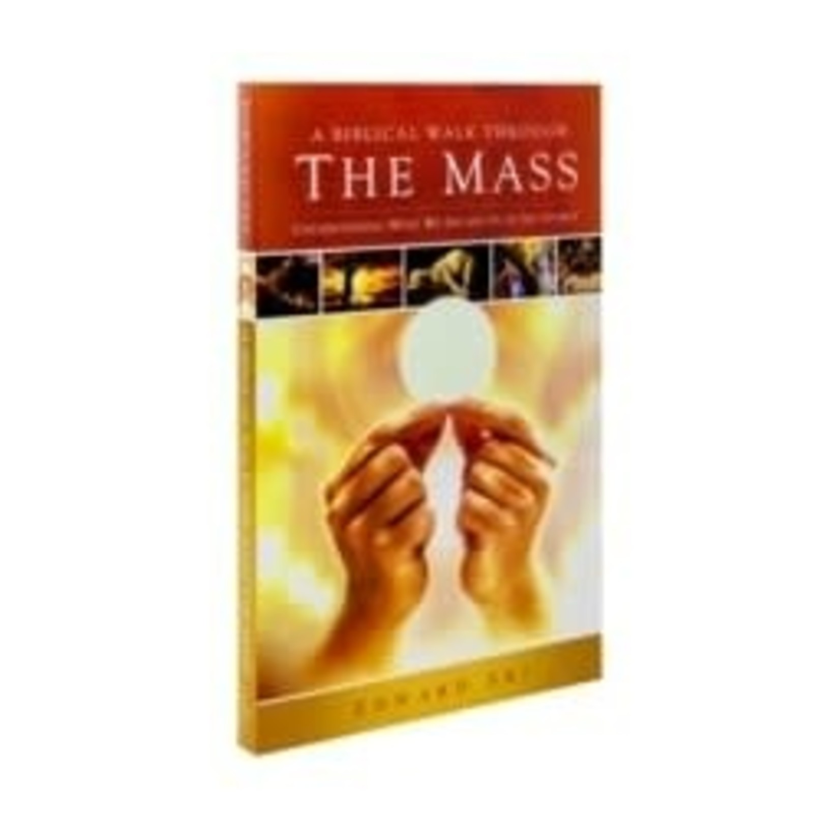 A Biblical Walk Through the Mass