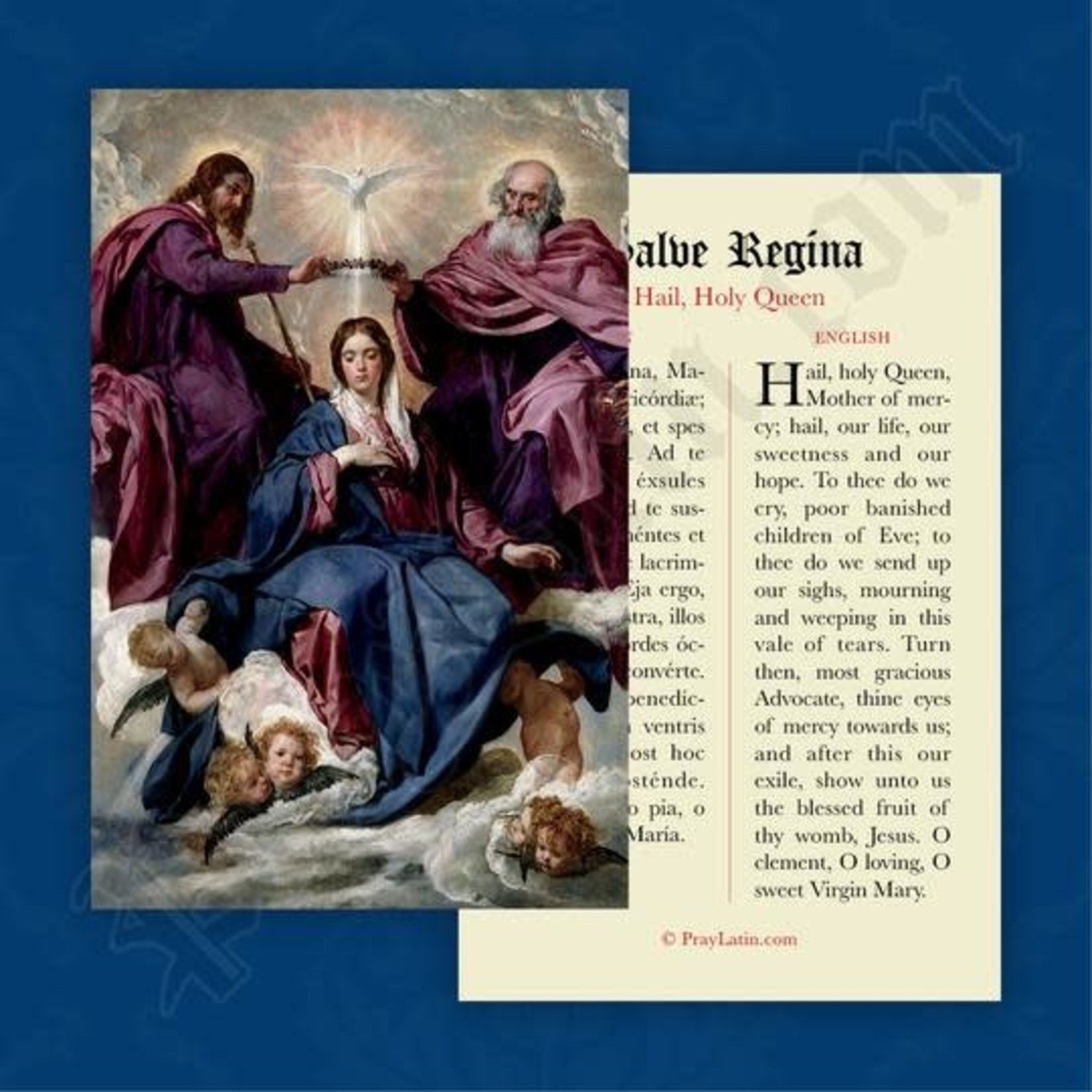 Latin-English Prayer Card Hail Holy Queen