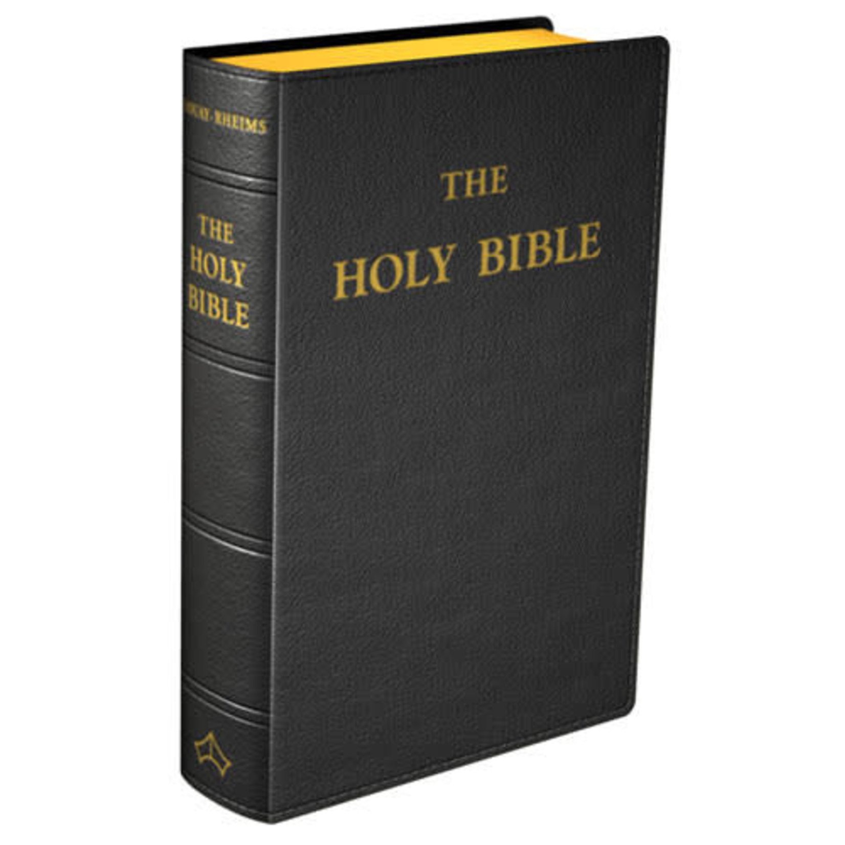 Douay-Rheims Bible LARGE PRINT