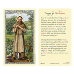 St Fiacre for Gardeners Prayer Card