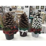 Potted Pinecone Christmas Tree (various)