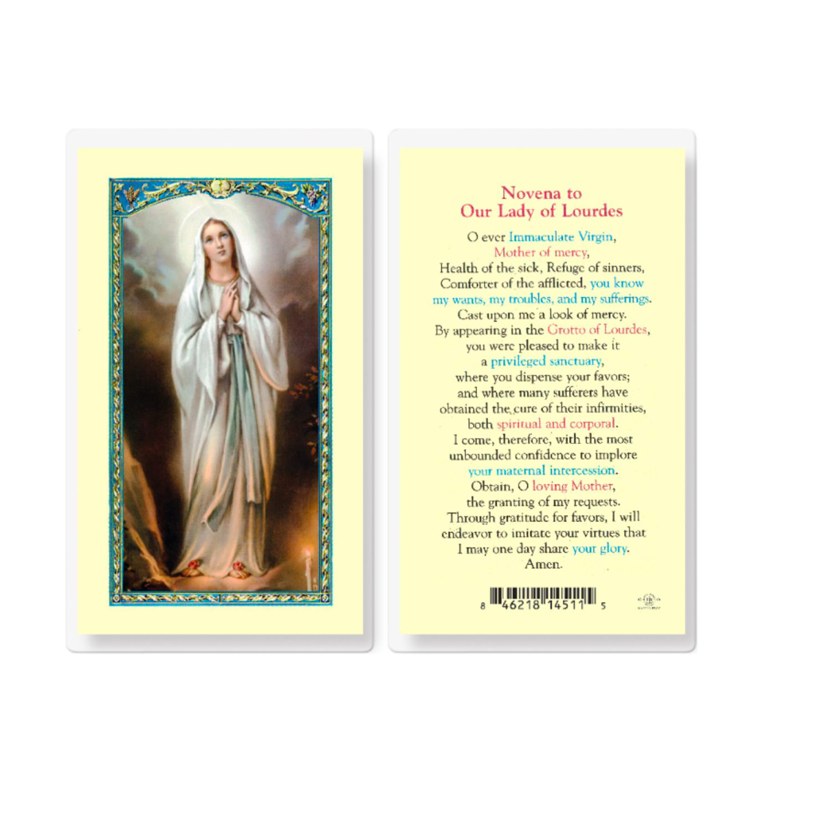 Prayer Card Novena to Our Lady of Lourdes