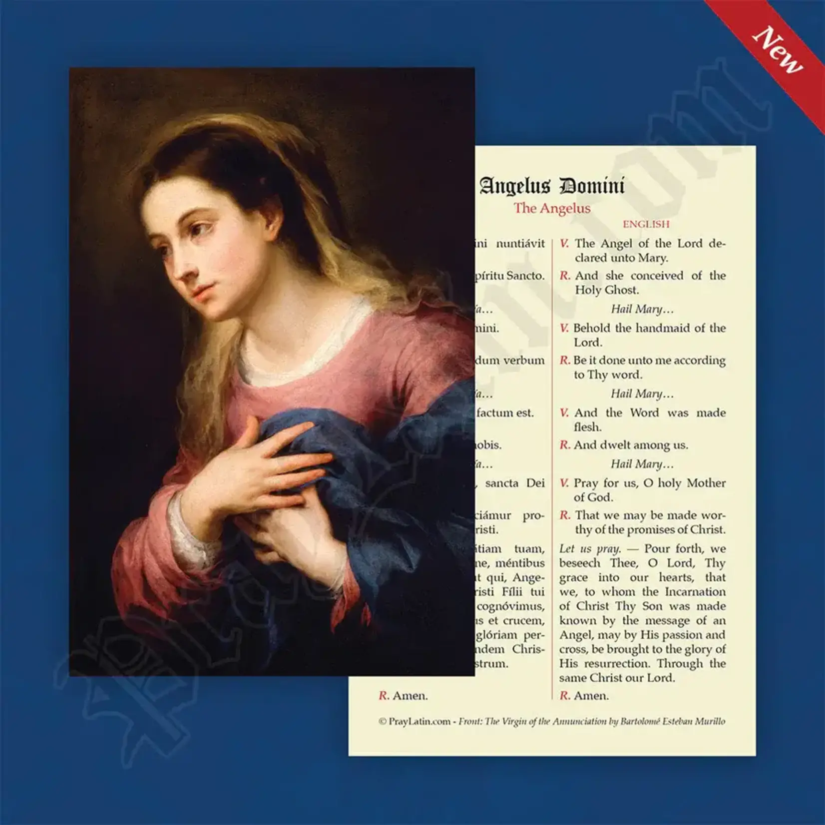 Latin-English Prayer Card The Angelus