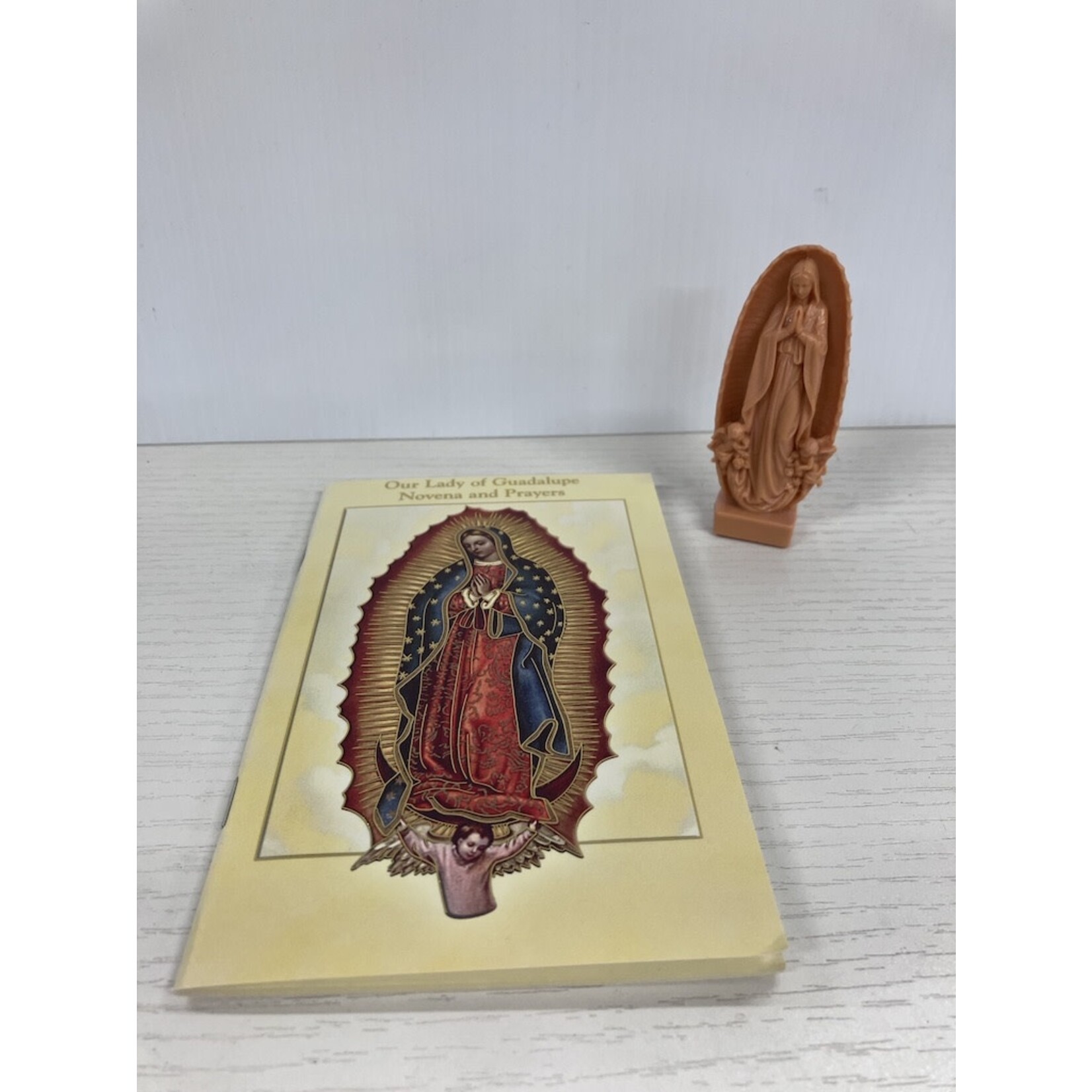 Our Lady of Guadalupe Novena Gift Set