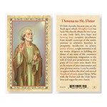 Prayer Card Novena to St Peter