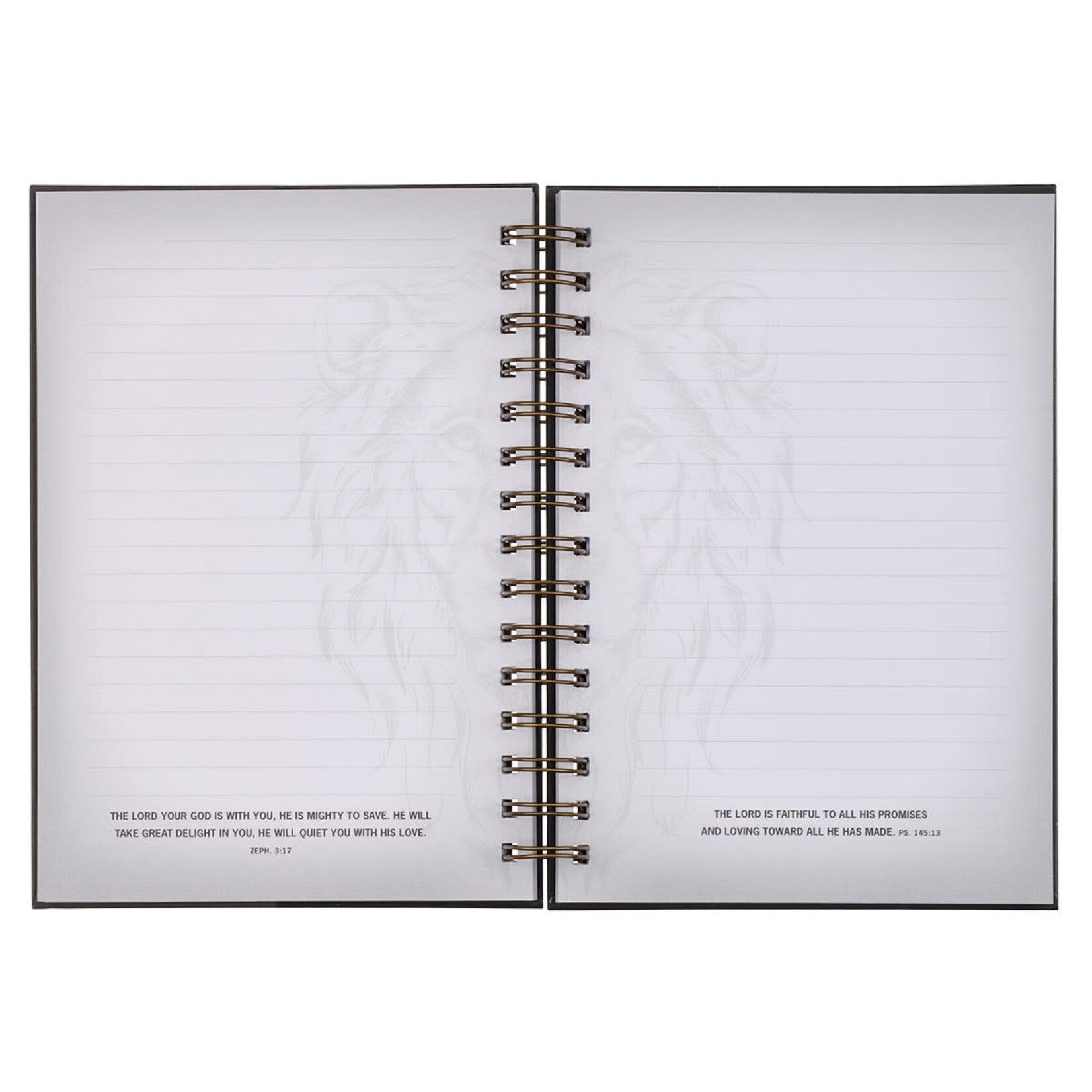 Strong Wirebound Journal