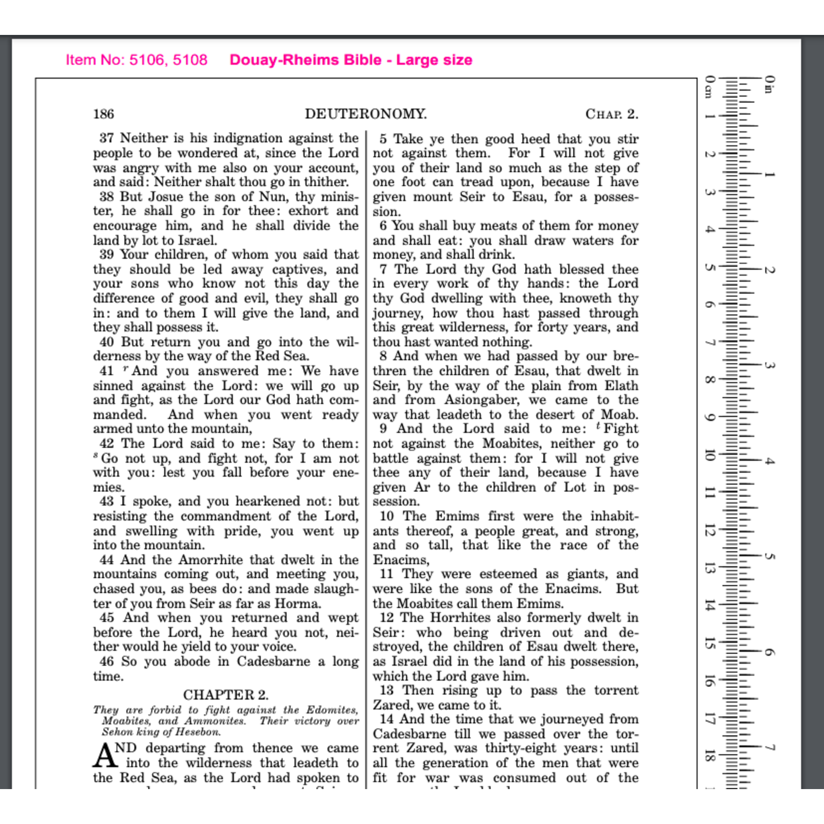 Douay-Rheims Bible LARGE PRINT