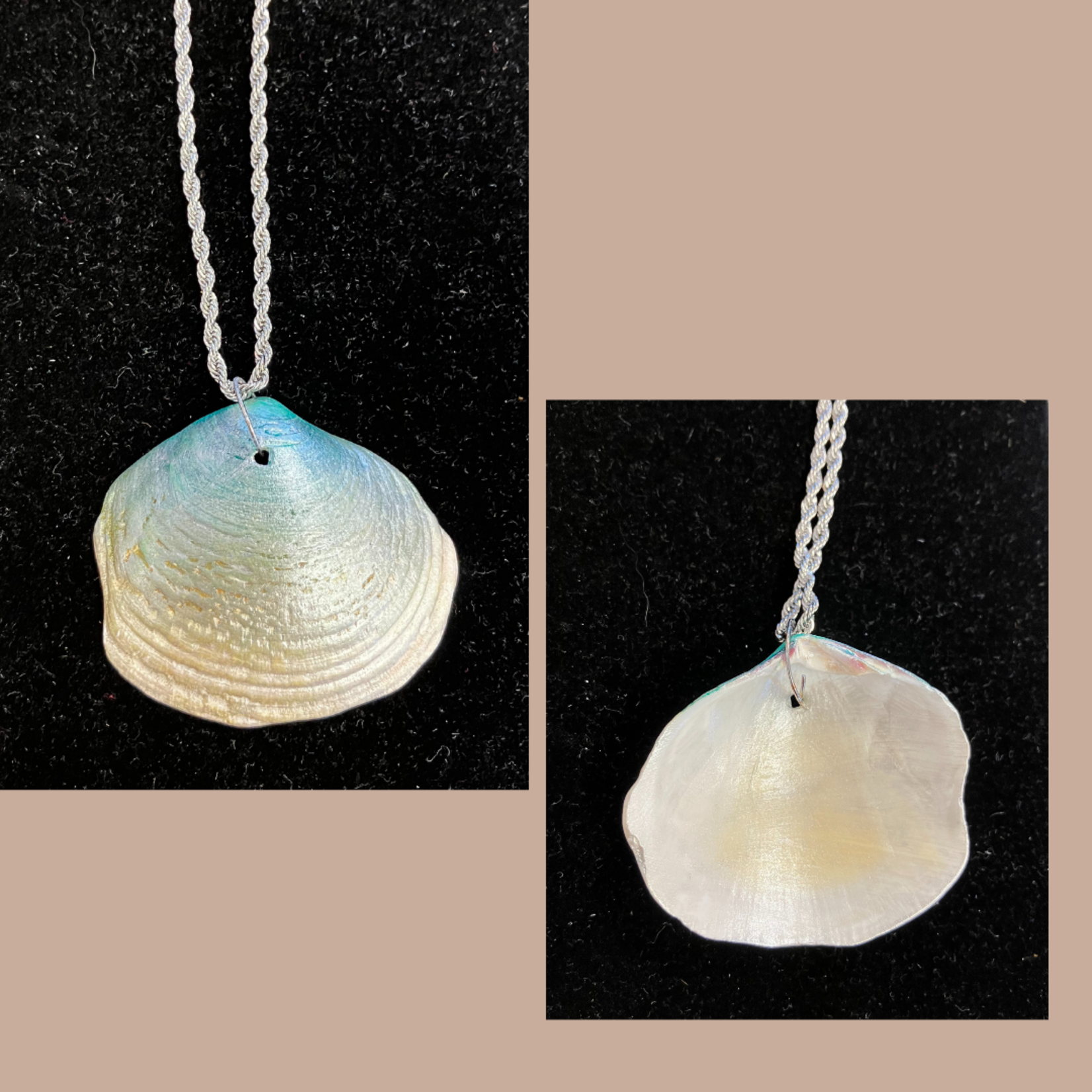 Cross Barred Venus Shell Pendant on Rope Chain