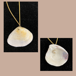 Clam Shell Pendant with Pearl