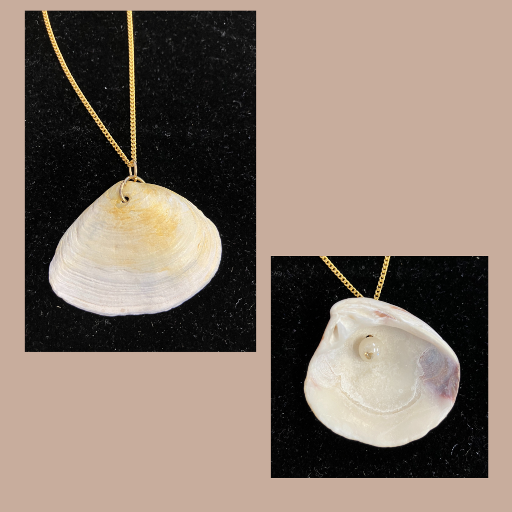Clam Shell Pendant with Pearl
