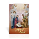 Christmas Card- Joy to the World