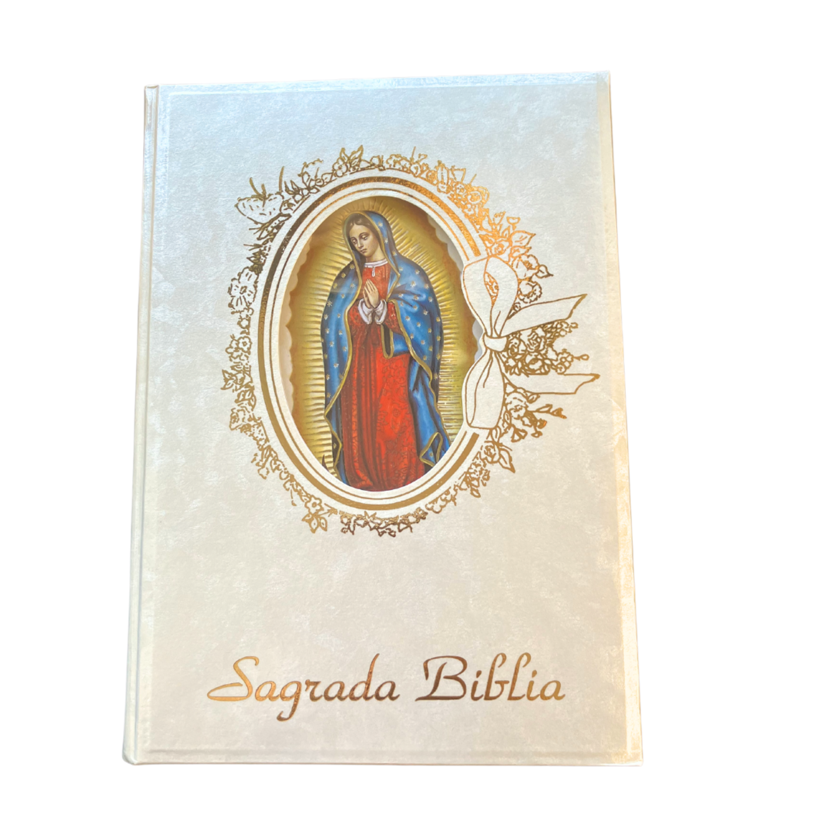 Sagrada Biblia