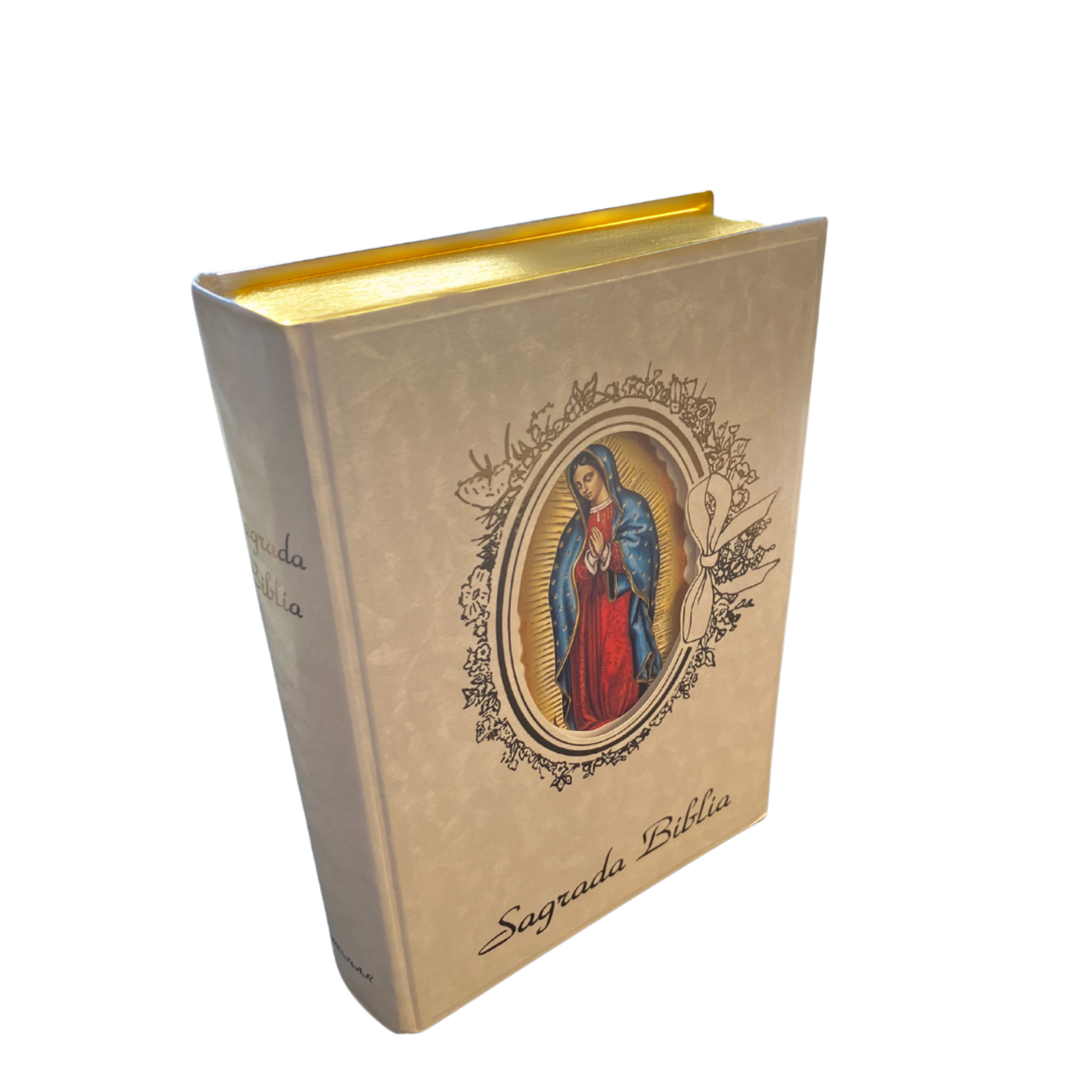 Sagrada Biblia