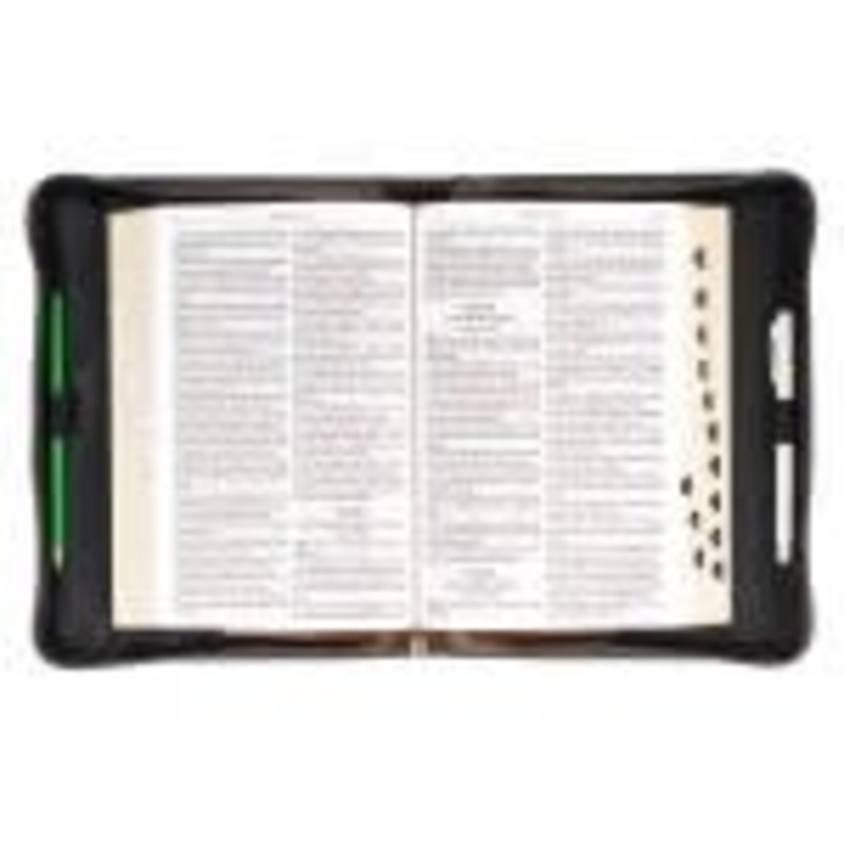 Bible Case I Can Do All Things