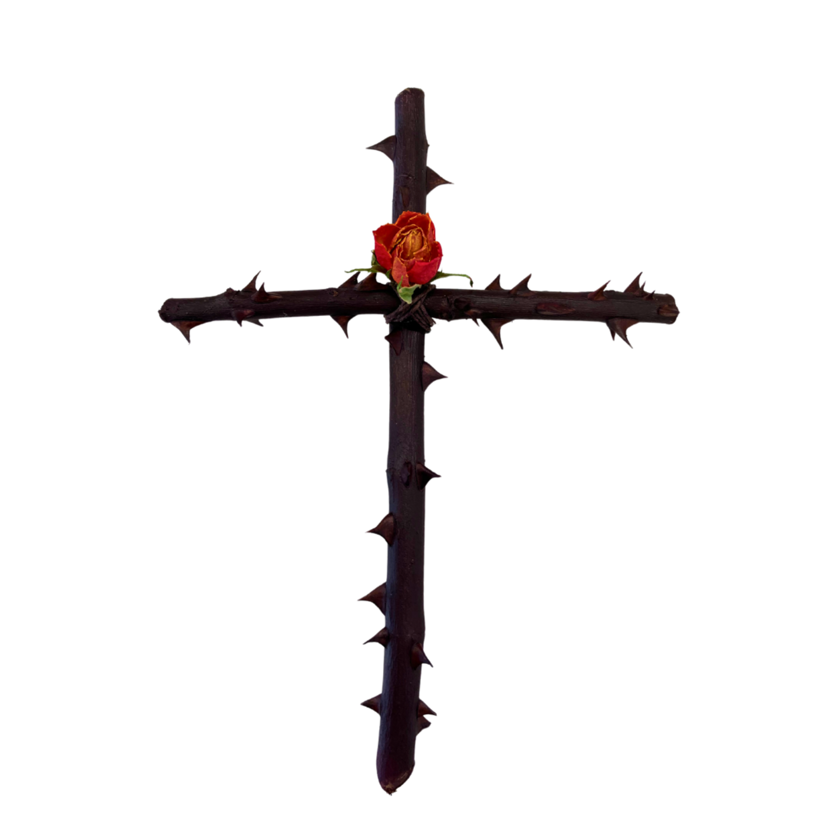 Large Rose Branch Wall Cross with Rose