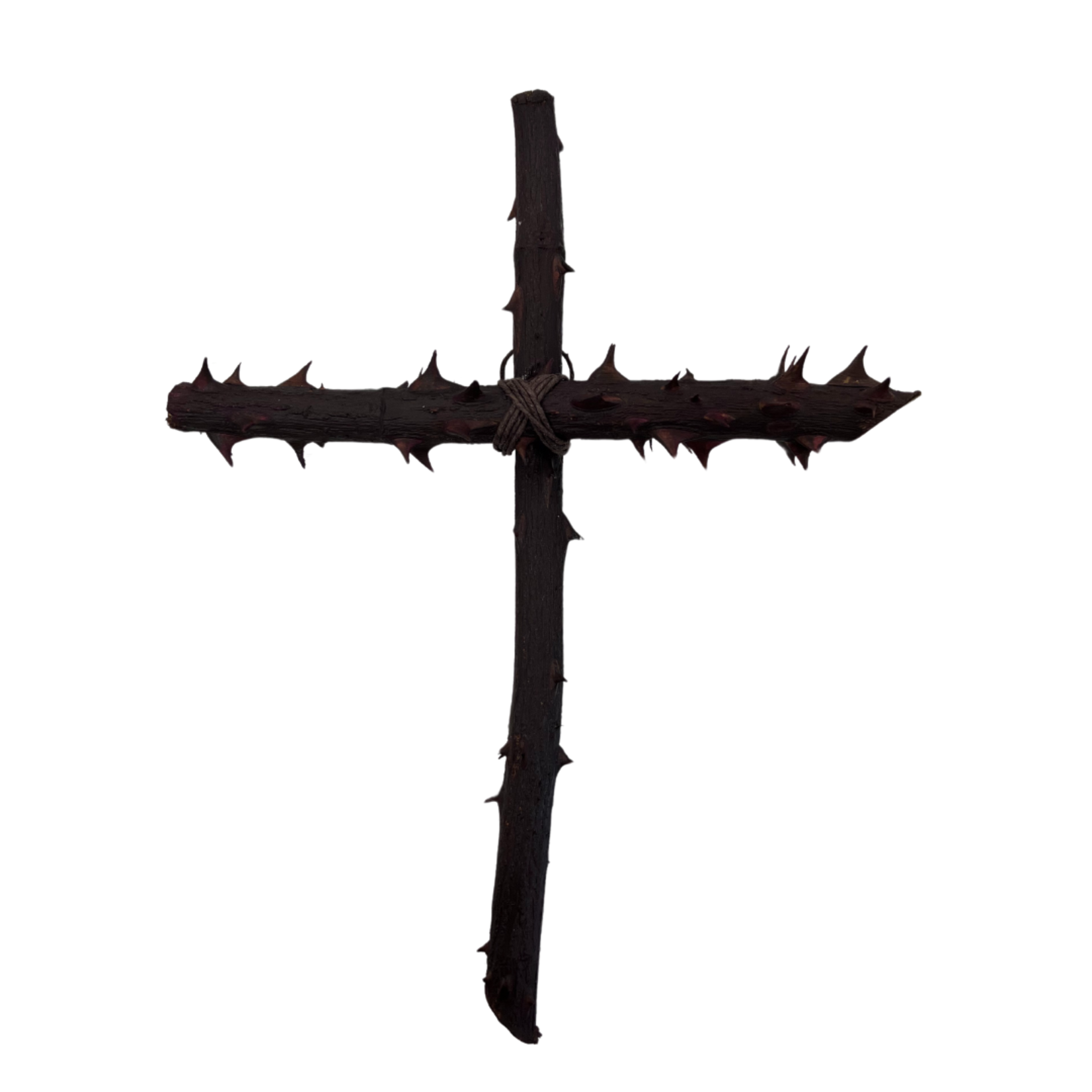 Large Rose Branch Wall Cross