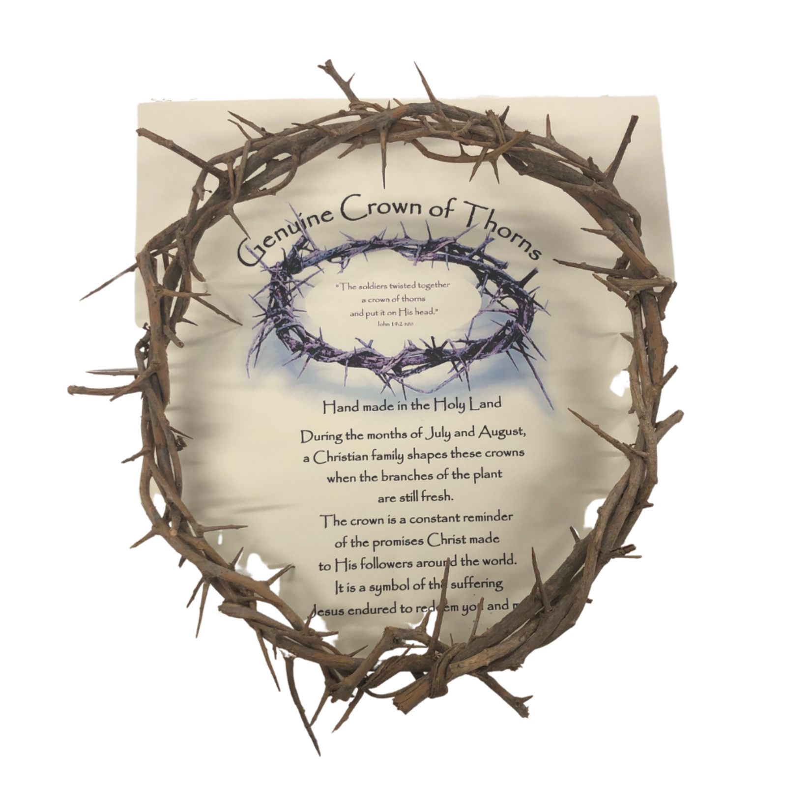 Genuine Crown of Thorns Boxed