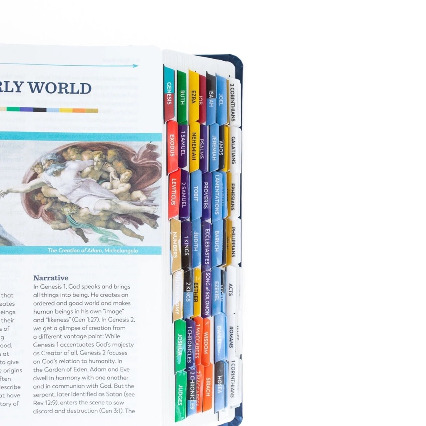 The Great Adventure Bible Indexing Tabs