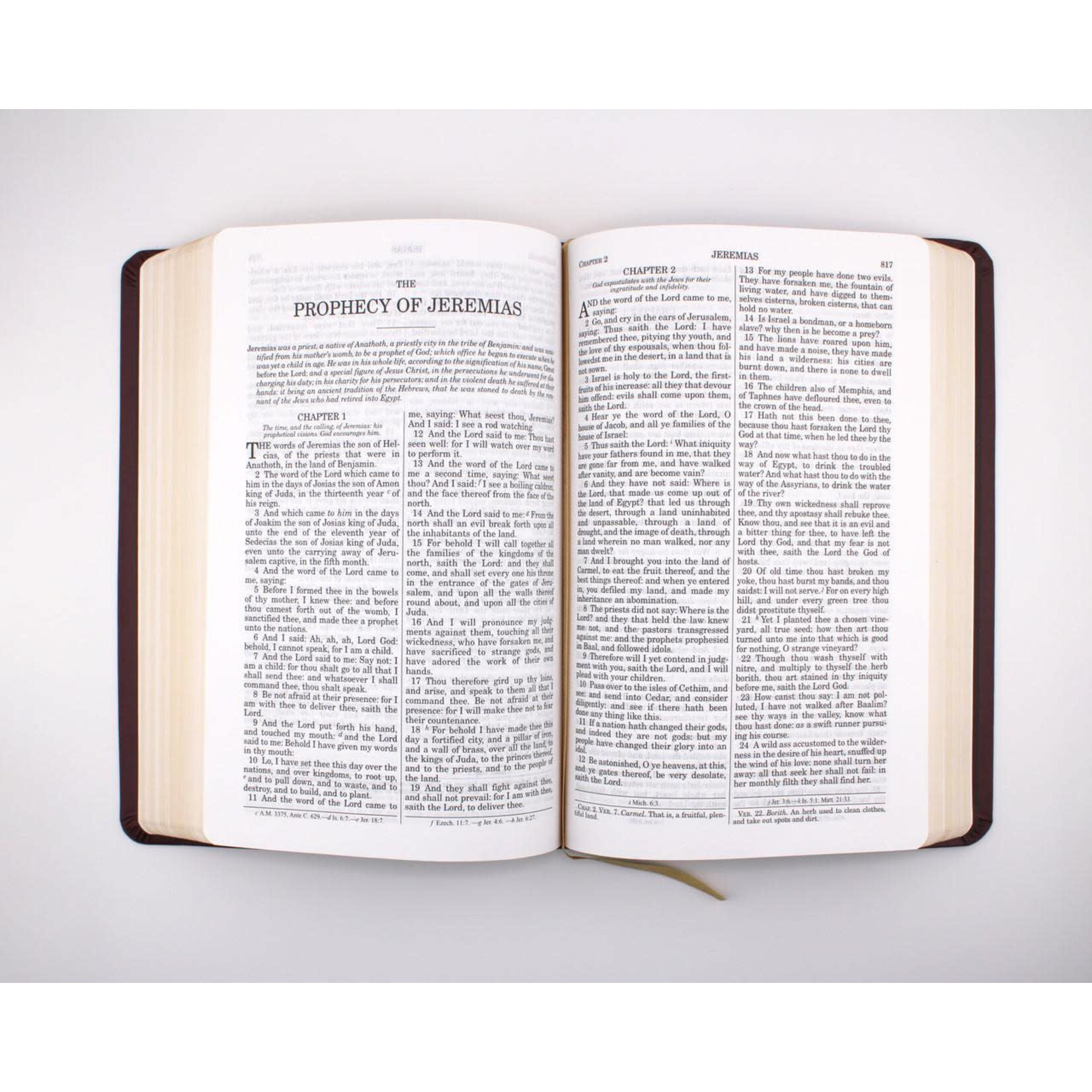 Douay-Rheims Bible Burgundy Leatherette