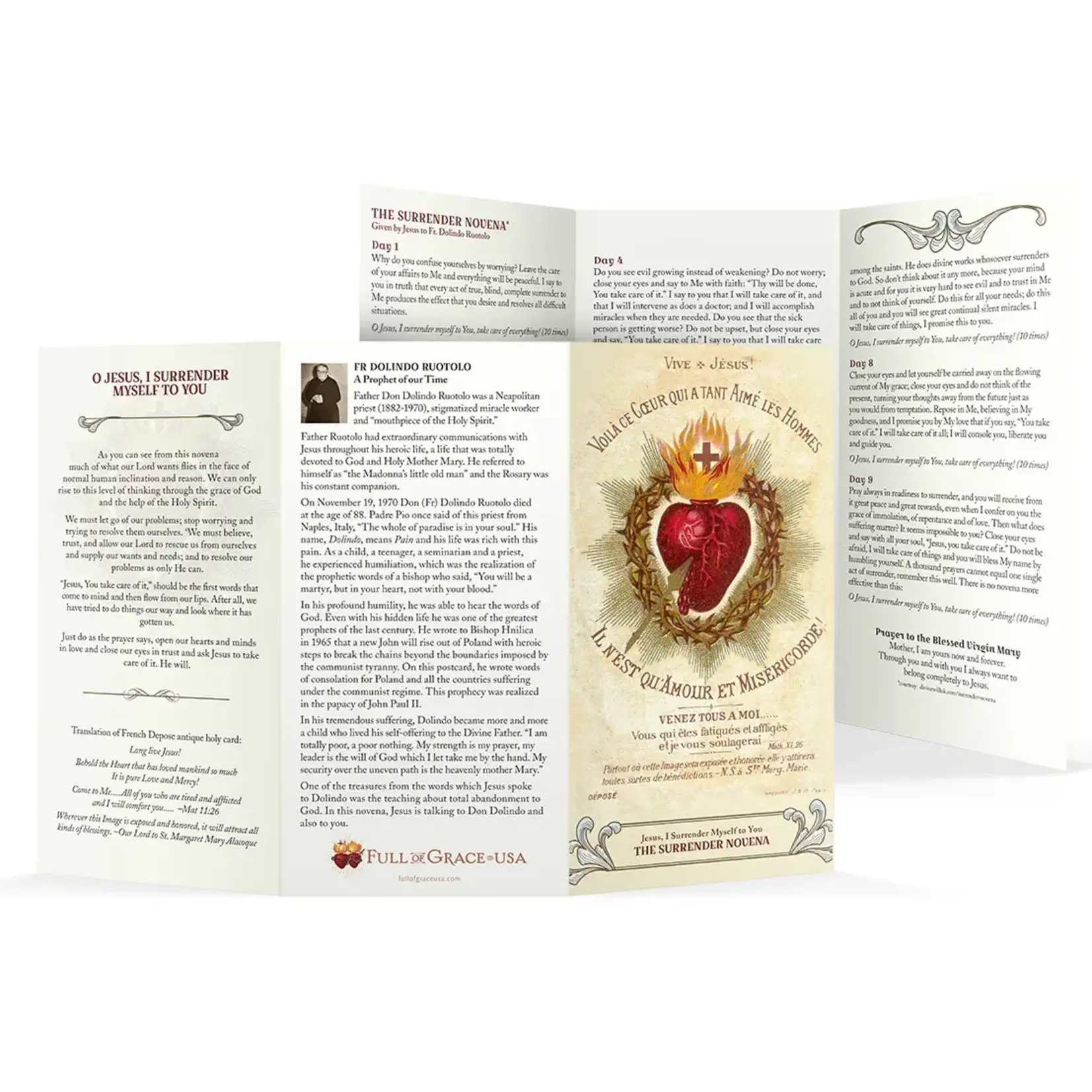 Surrender Novena Tri-Fold Holy Card