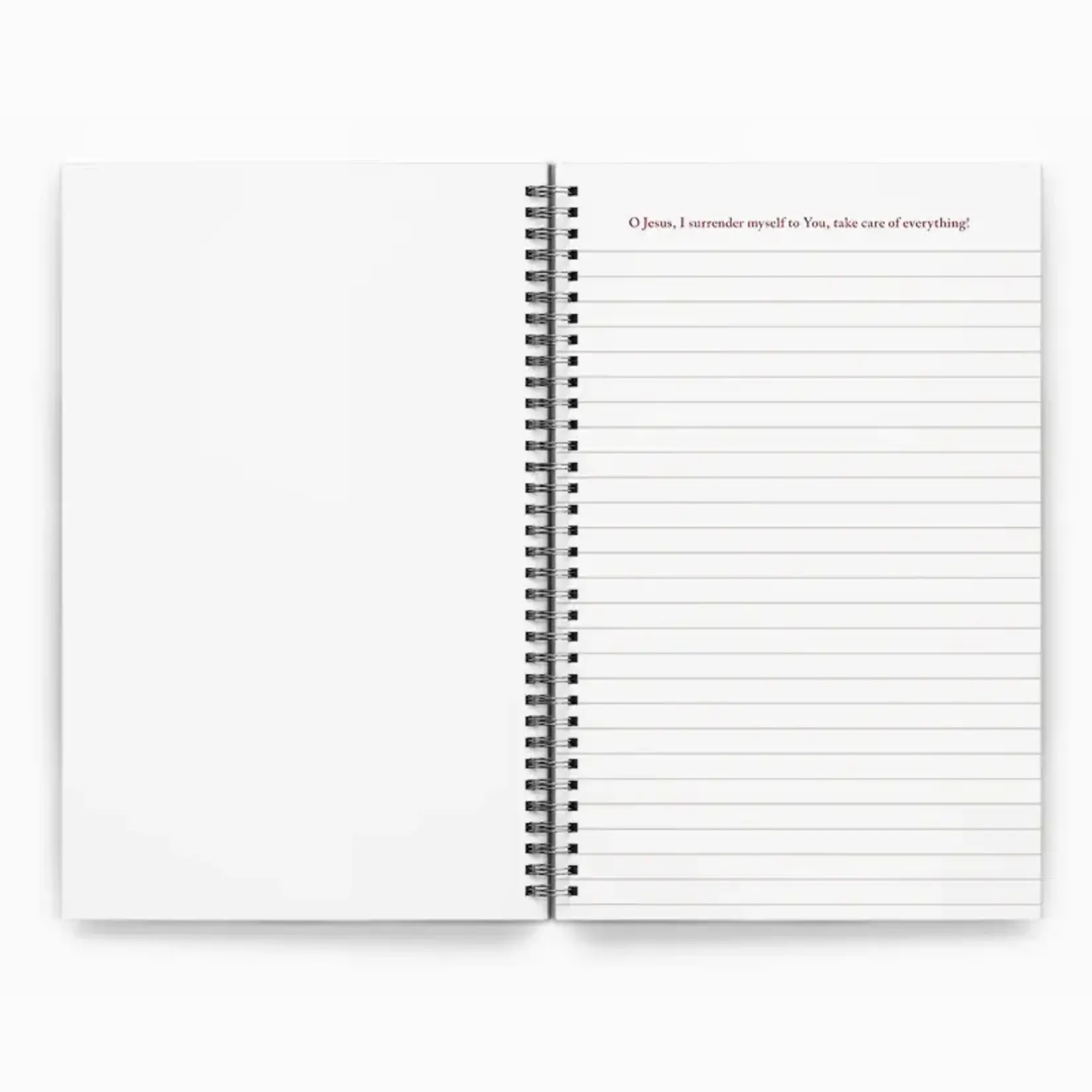 Surrender Novena Journal