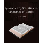 Bibles & Catechism