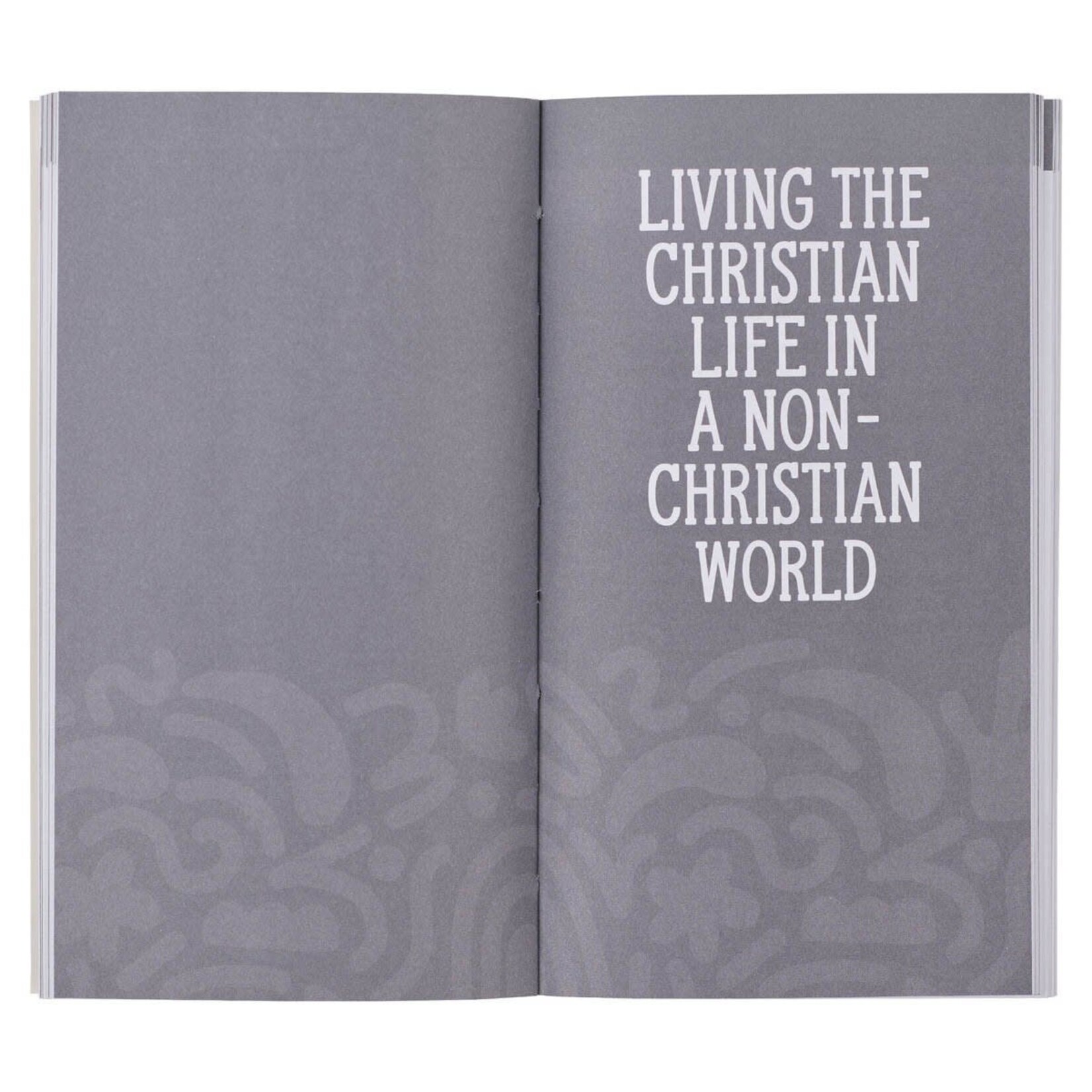 199 Favorite Bible Verses for Teens Booklet