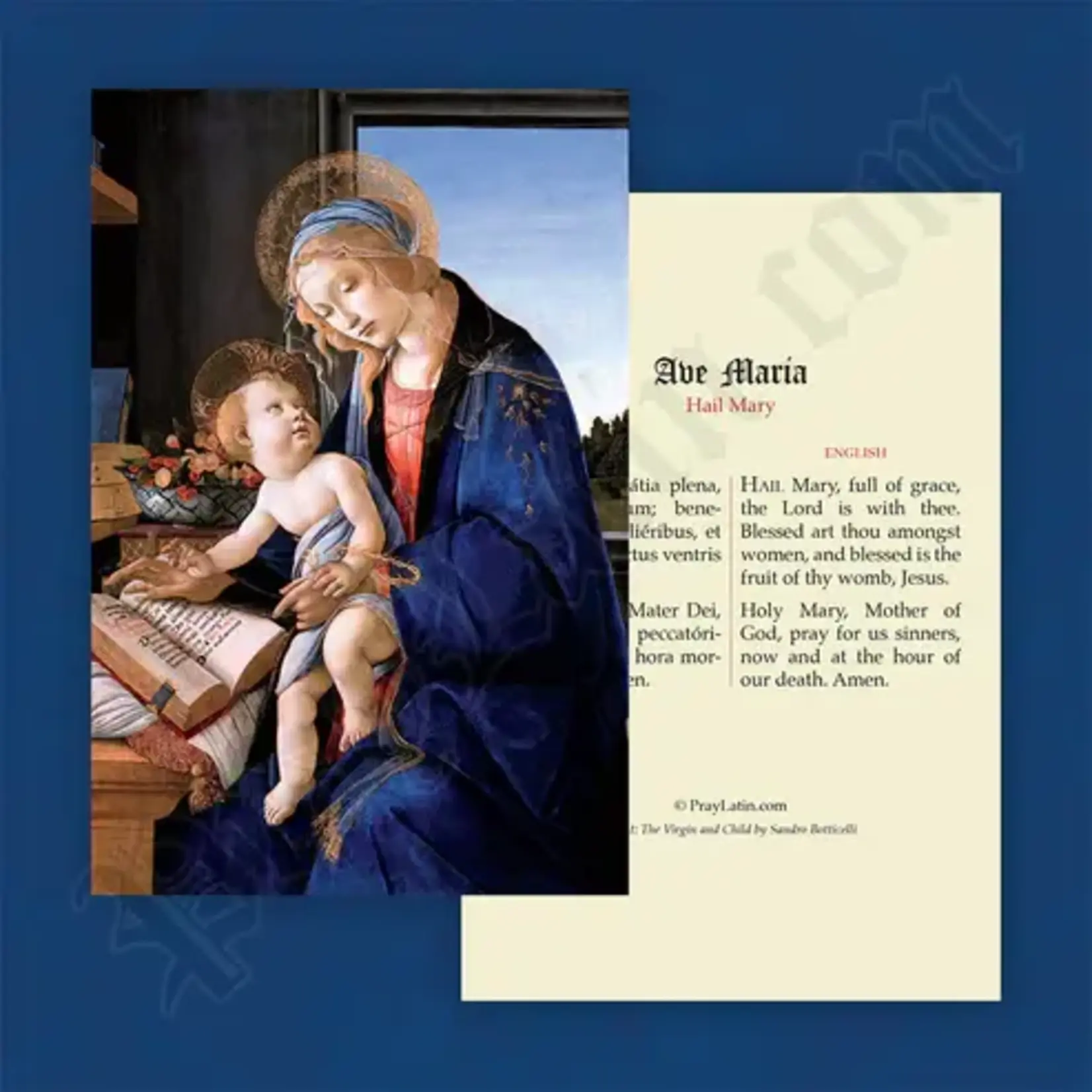 Latin-English Prayer Card Hail Mary