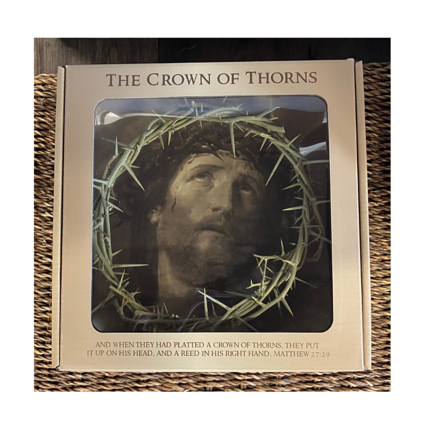 Genuine Crown of Thorns Boxed
