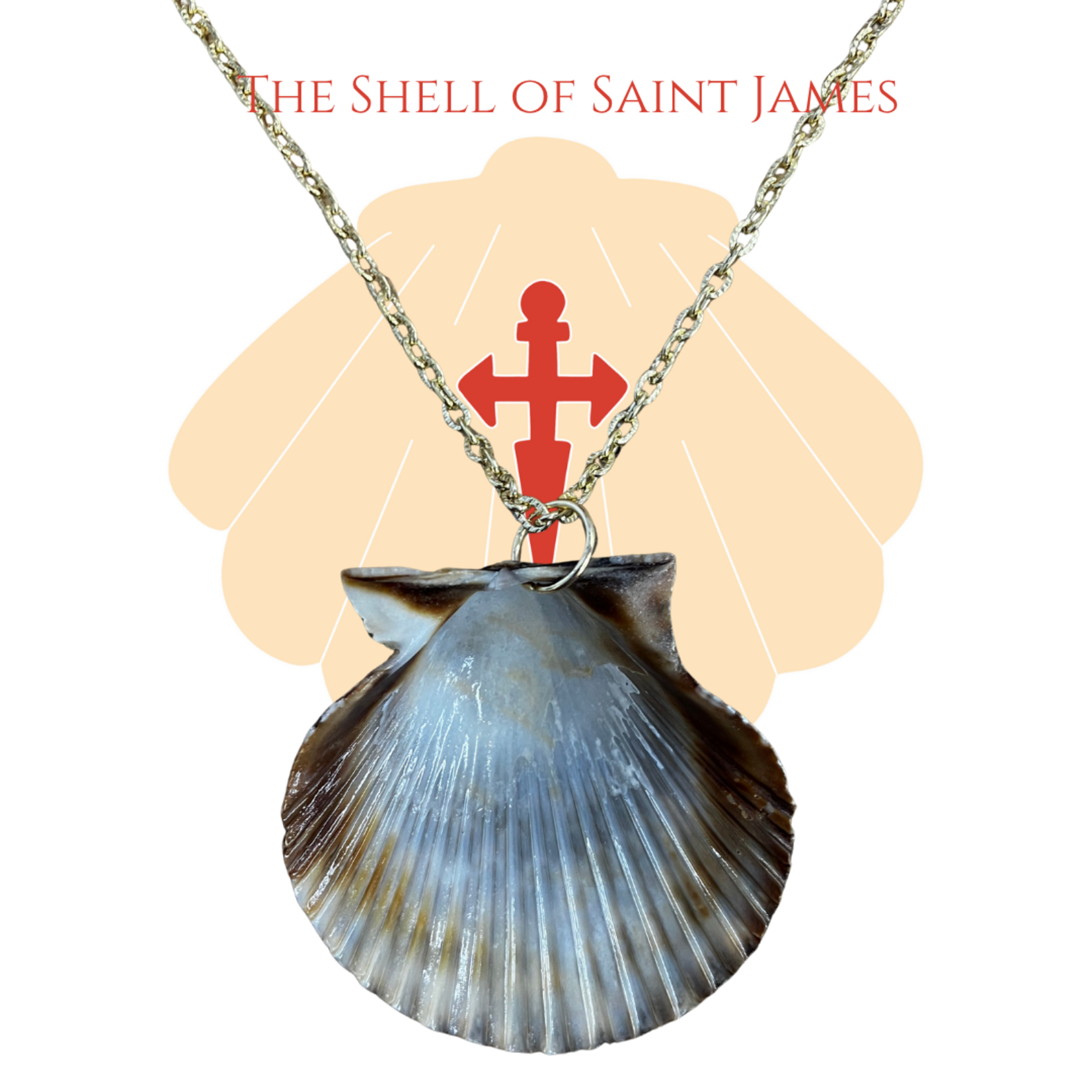 Shell of Saint James Pendant