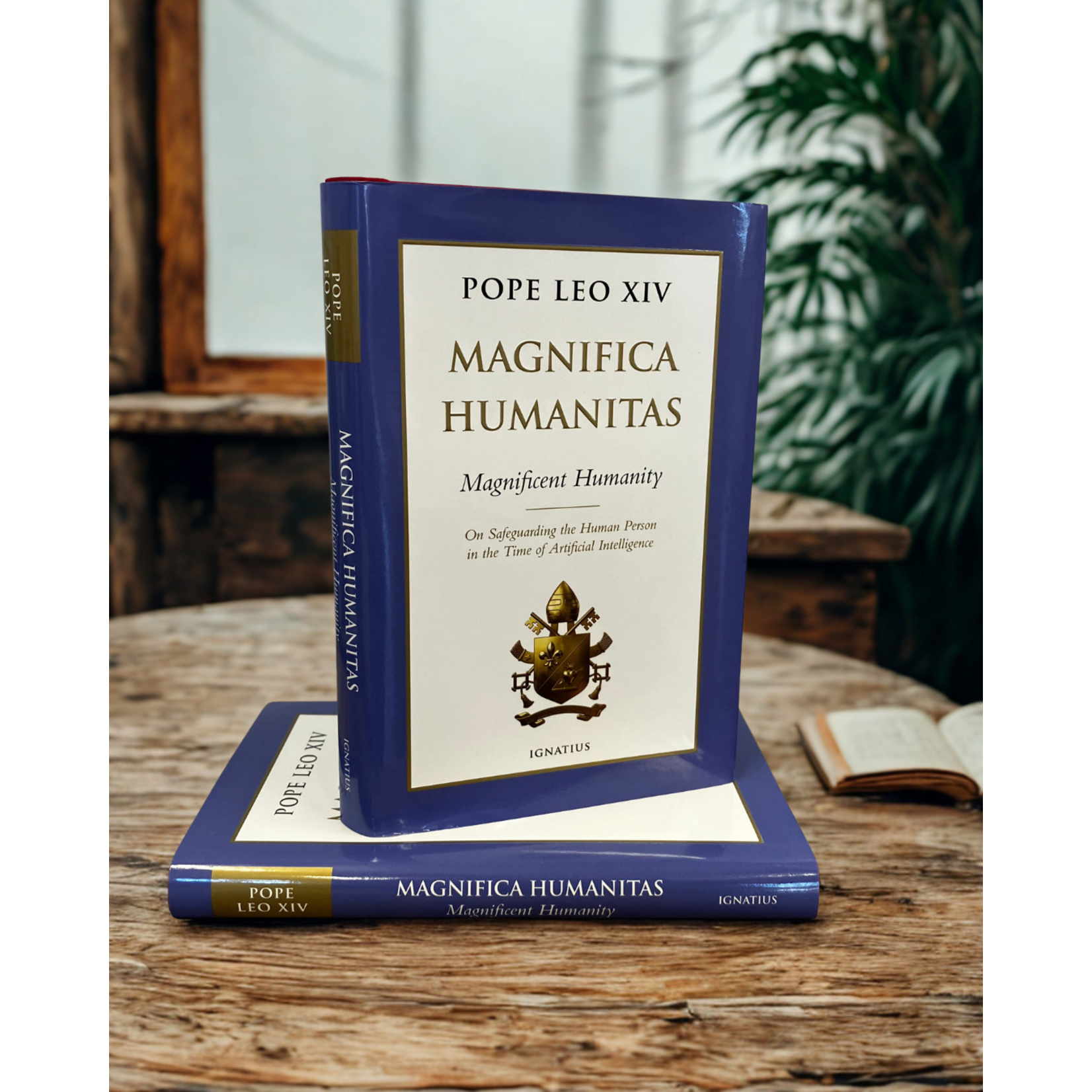 Magnifica Humanitas Encyclical Pope Leo XIV