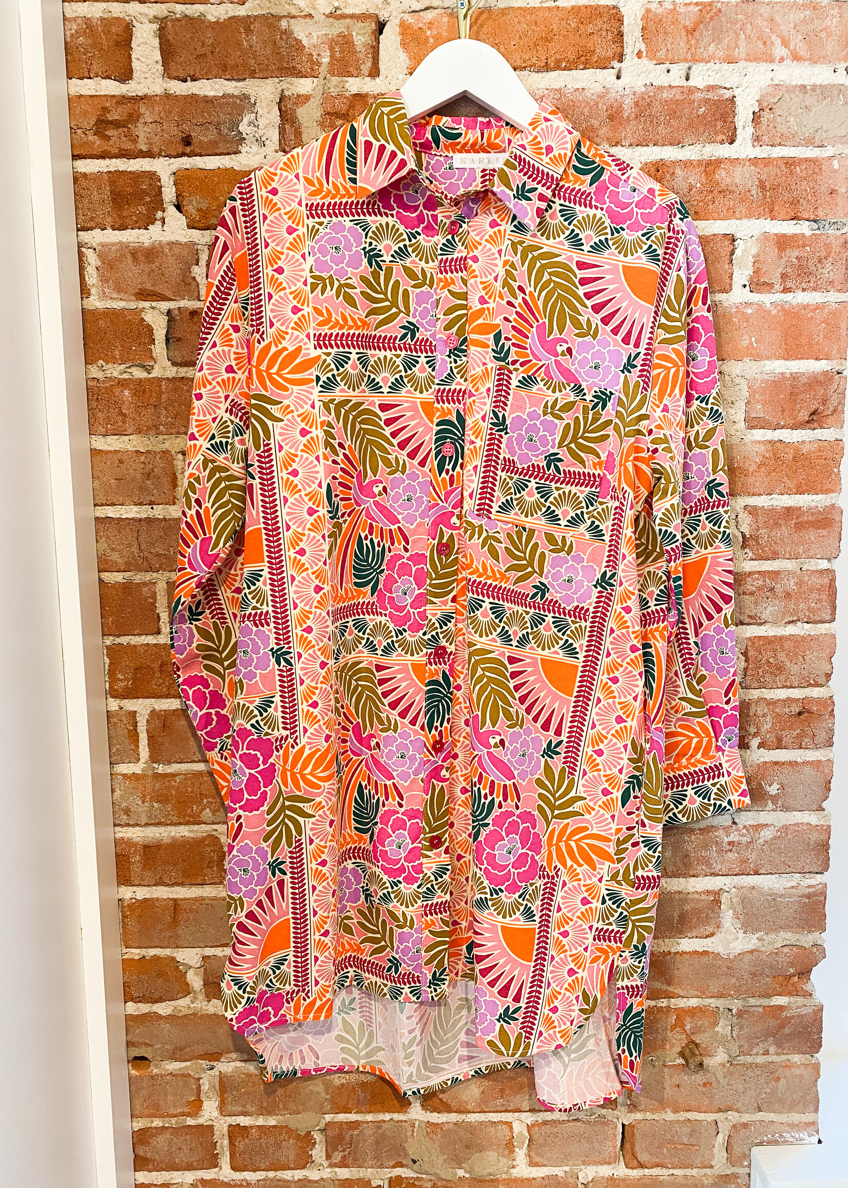 Karlie Toucan Scarf Shirt Dress