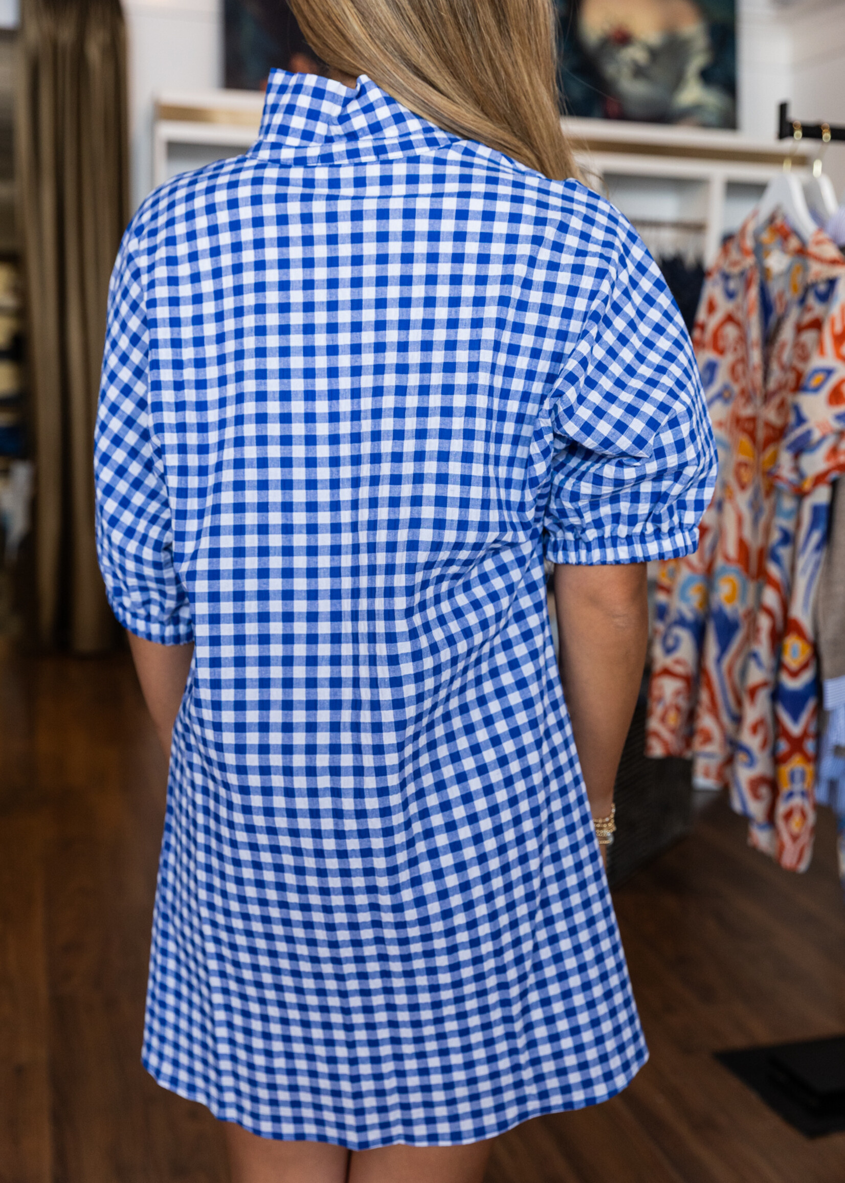 Charlotte Stand Collar Dress