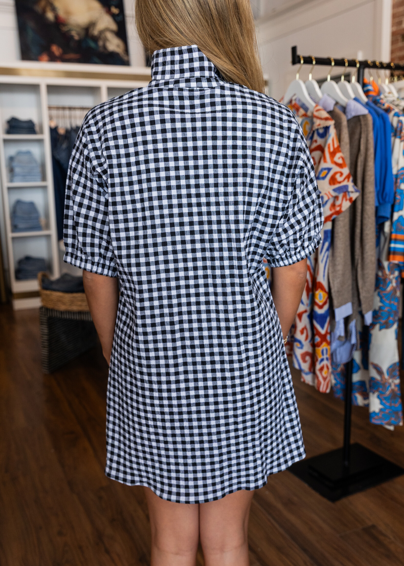 Charlotte Stand Collar Dress