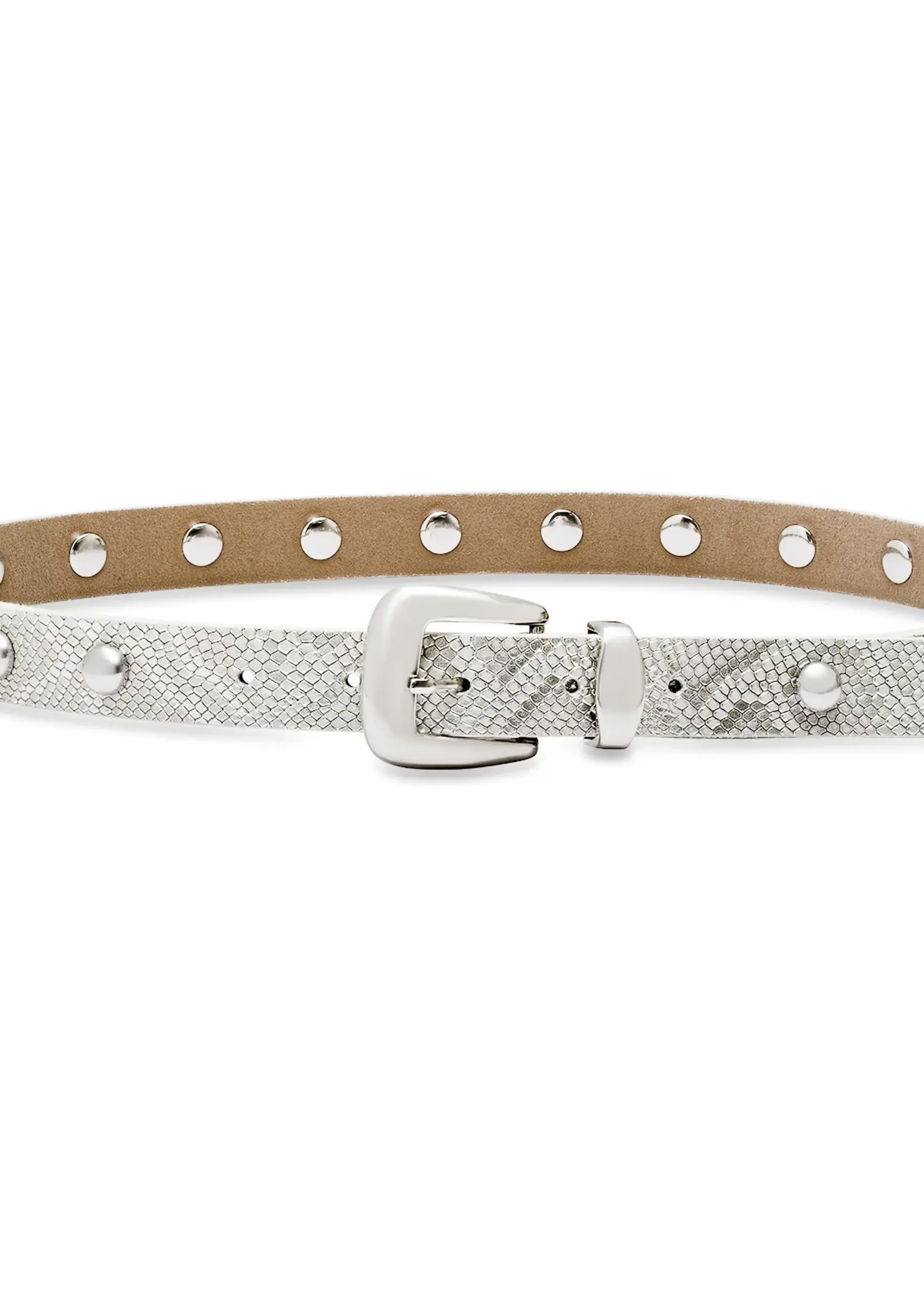 Laurel&Gold Silverlake Studded Belt