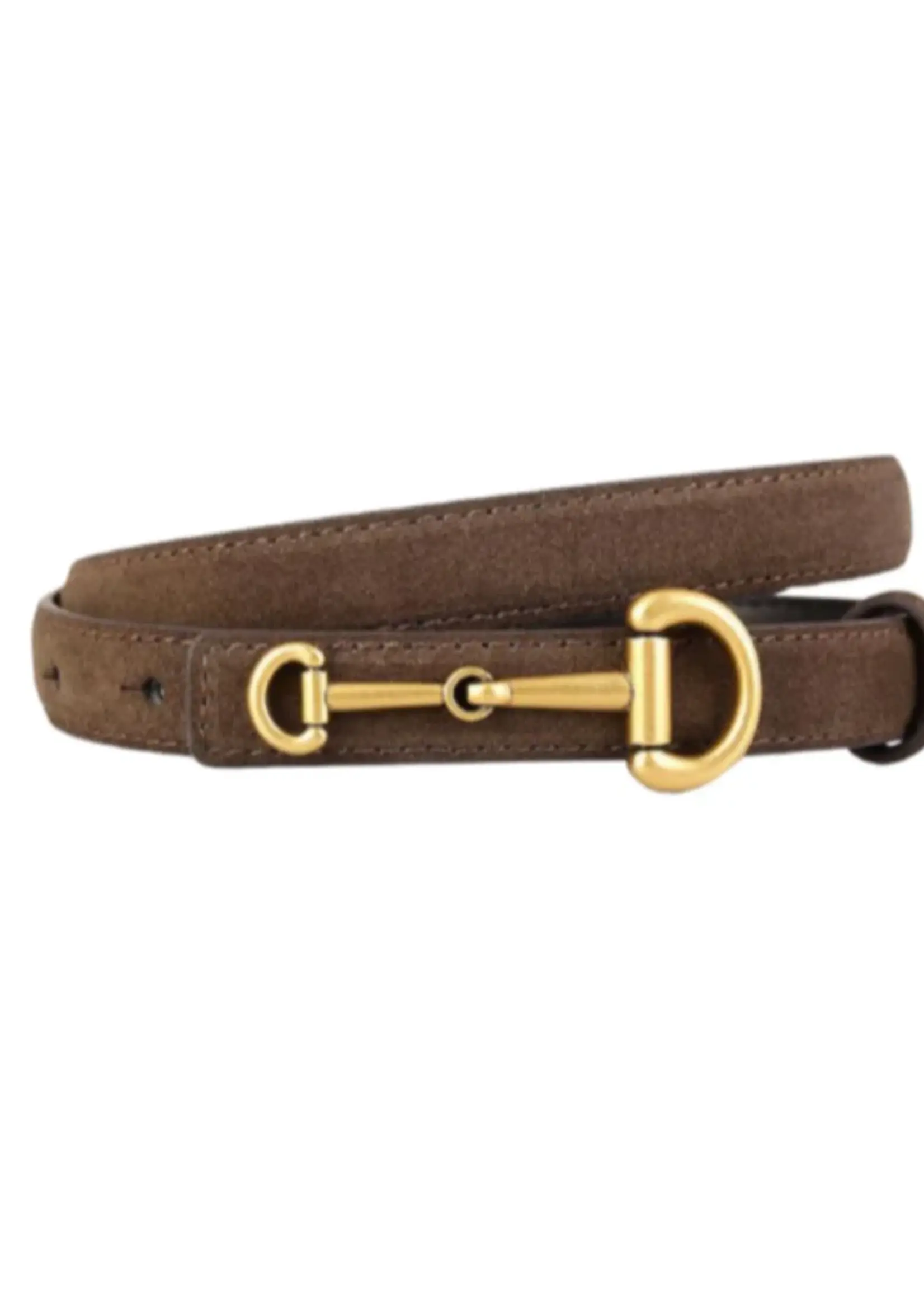 Accessory Concierge Dressage Belt