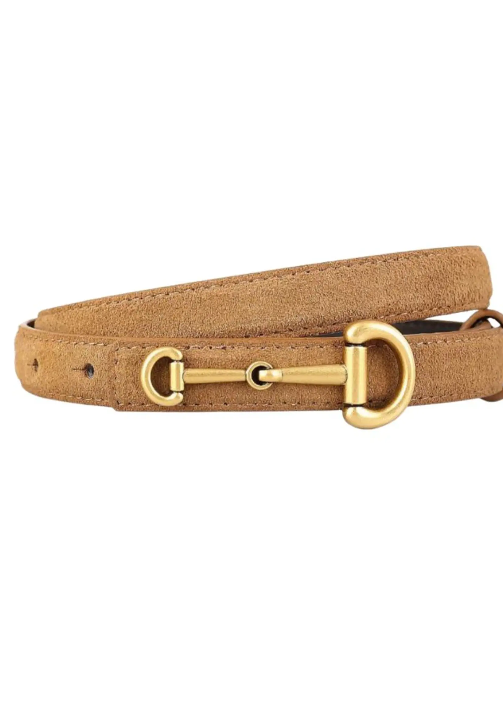 Accessory Concierge Dressage Belt